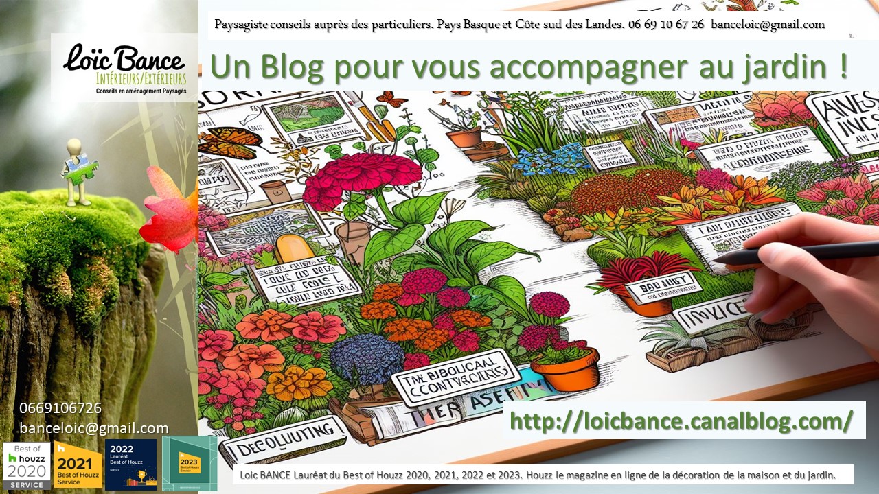 Un blog jardin, une foule de conseils de Paysagiste Capbreton