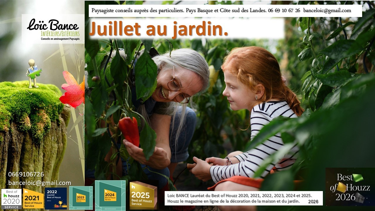Paysagiste Capbreton Juillet au jardin