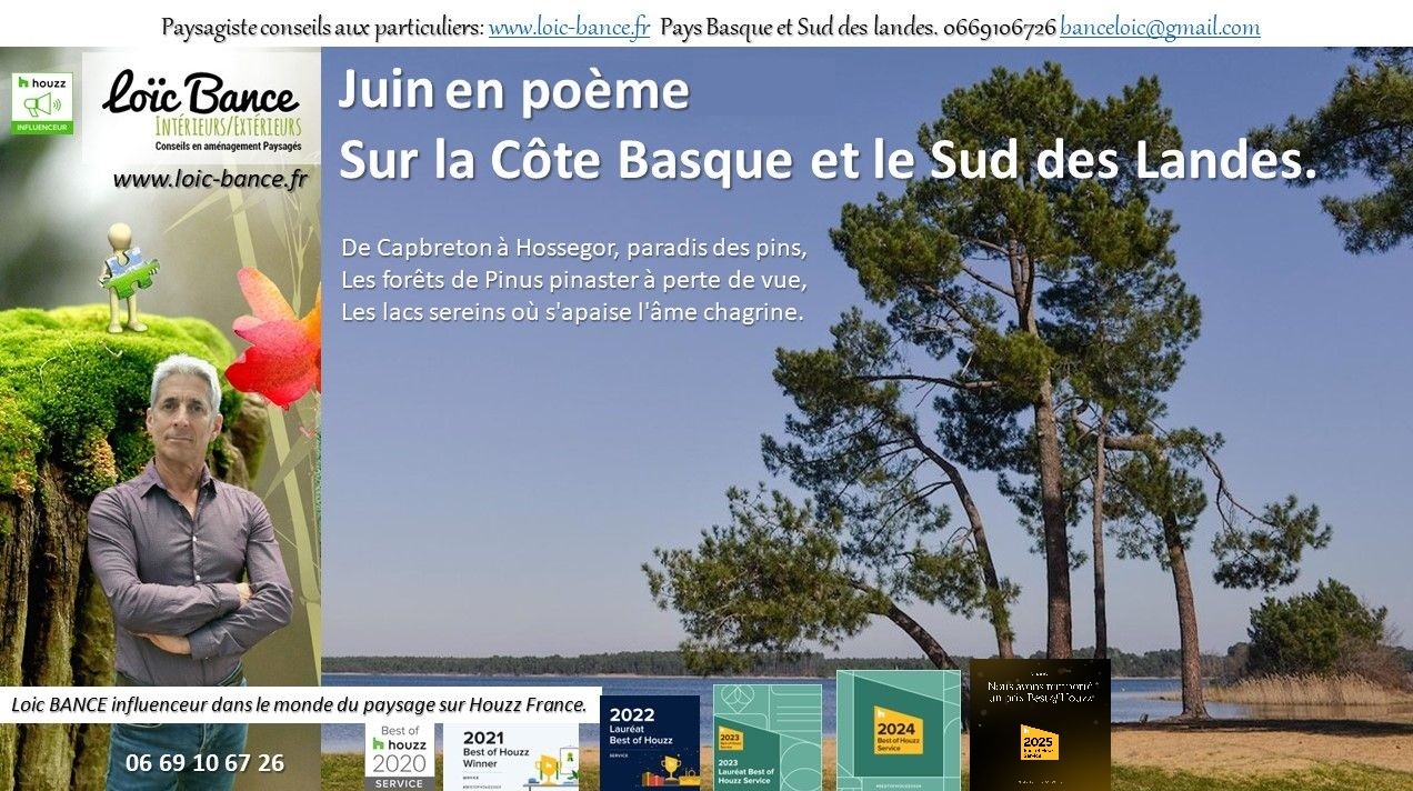paysages; Landes; Pays Basque; Paysagiste; Paysagiste Landes; Paysagiste Pays Basque; Loc BANCE; Concepteur de jardins; Amnagements paysagers; Paysagiste conseils aux particuliers; Juin; Capbreton; 