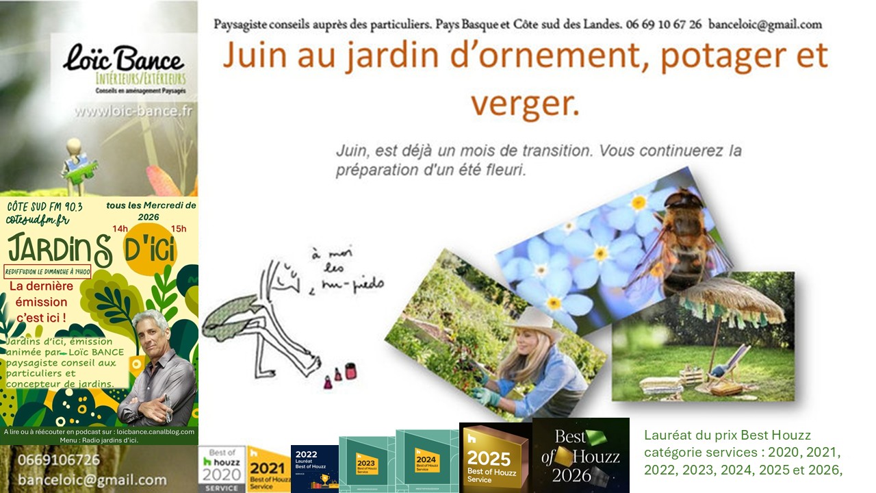 Les travaux de juin 2026 au jardin d'ornement, potager ou fruitier. Capbreton paysages