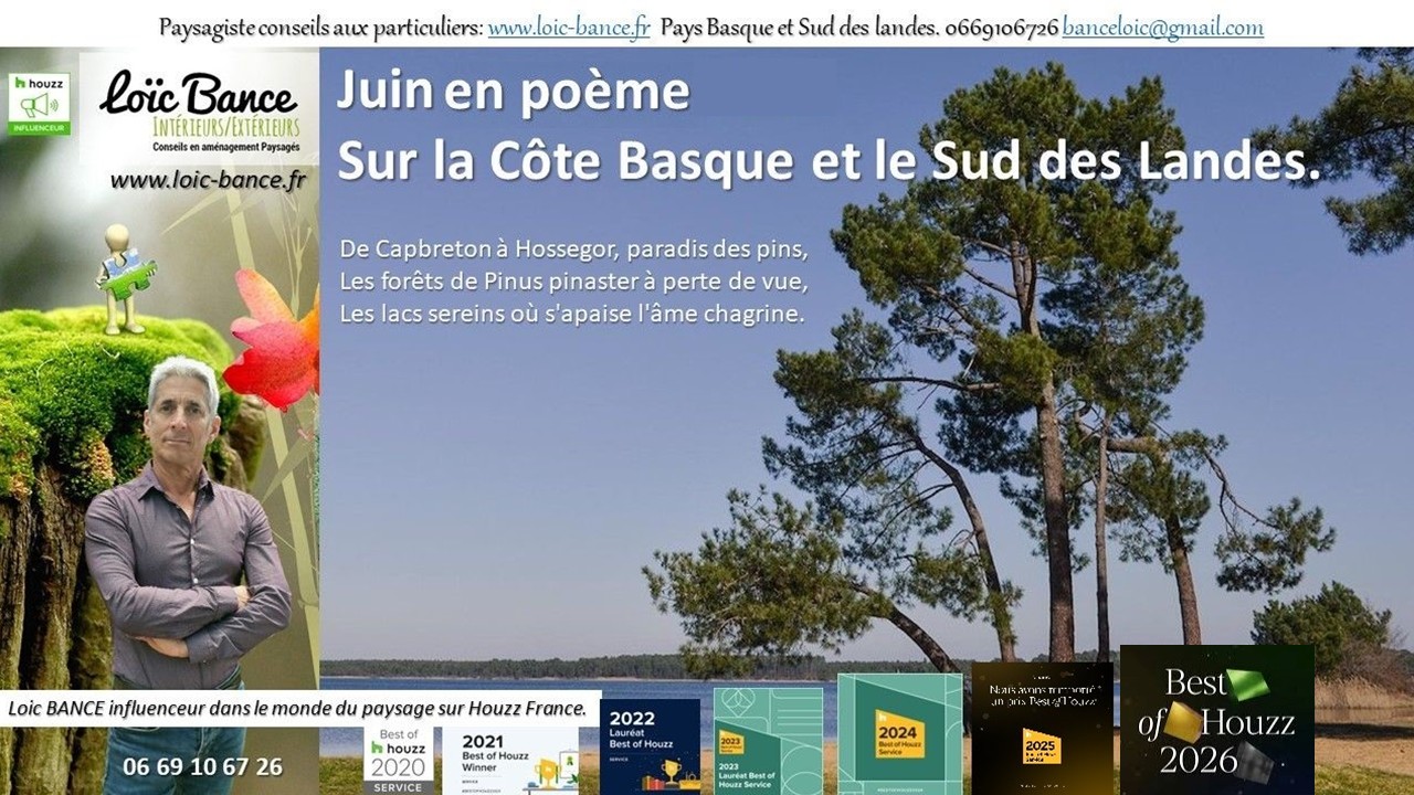 Juin en po�me sur la C�te Basco-Landaise. Capbreton paysages 