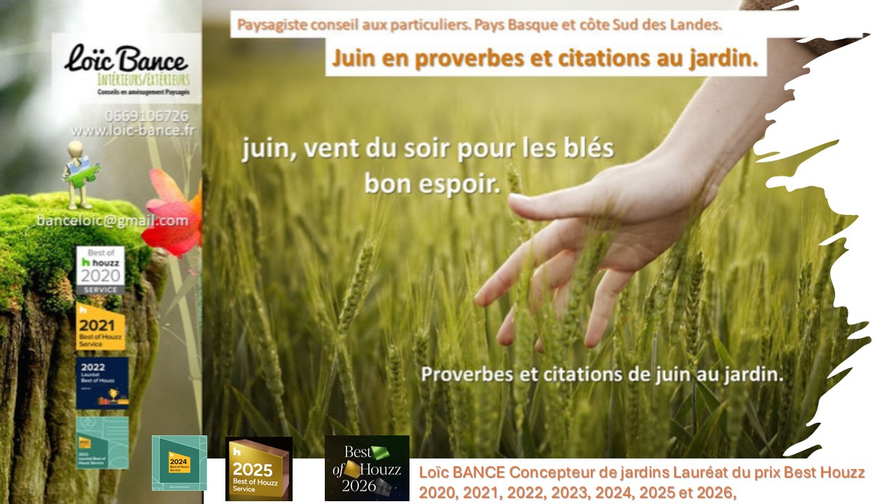 Juin en proverbes et citations. Capbreton paysages